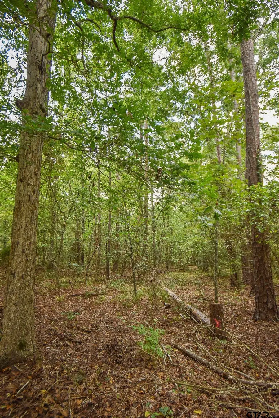 TBD CR 2337 Lot 4, Tyler, TX 75707 - Image #2