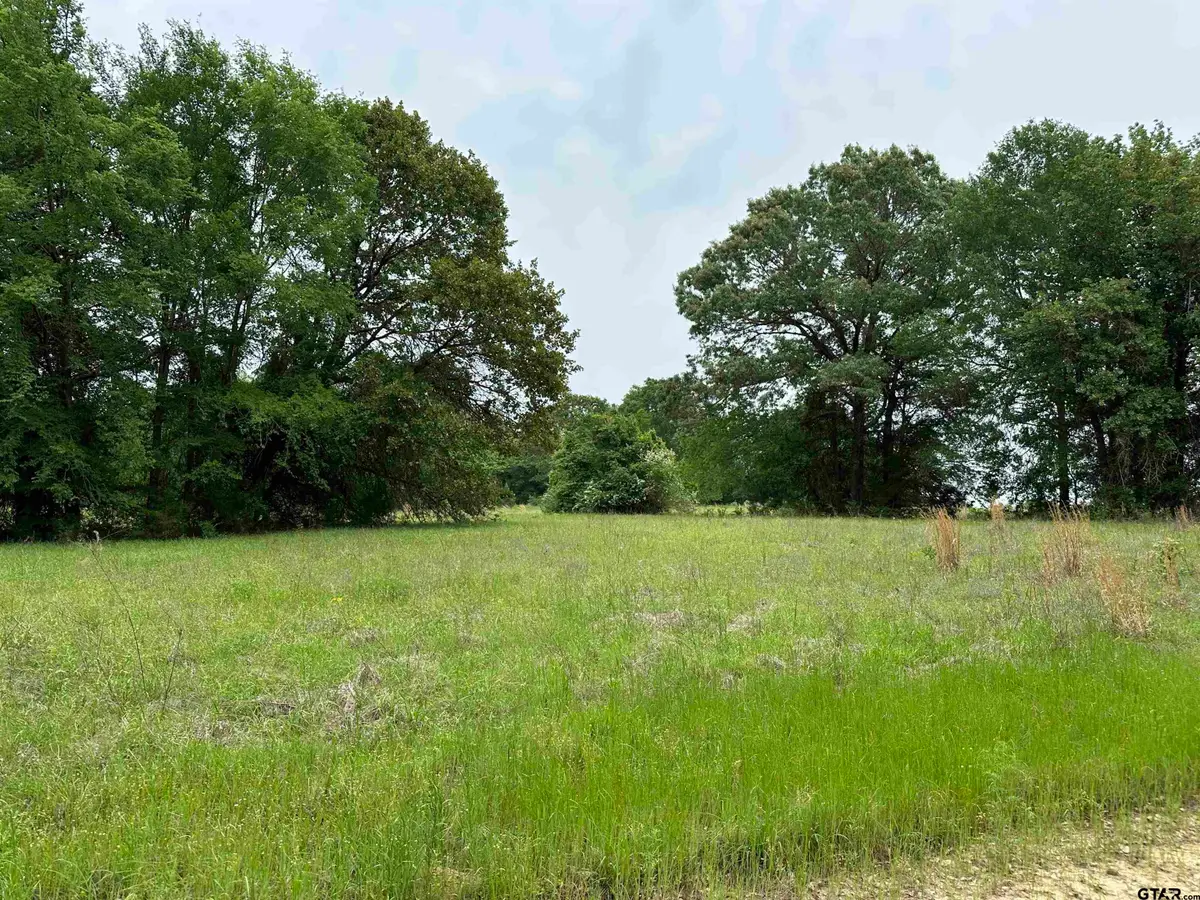 21478 CR 294, Arp, TX 75750 - Image #1