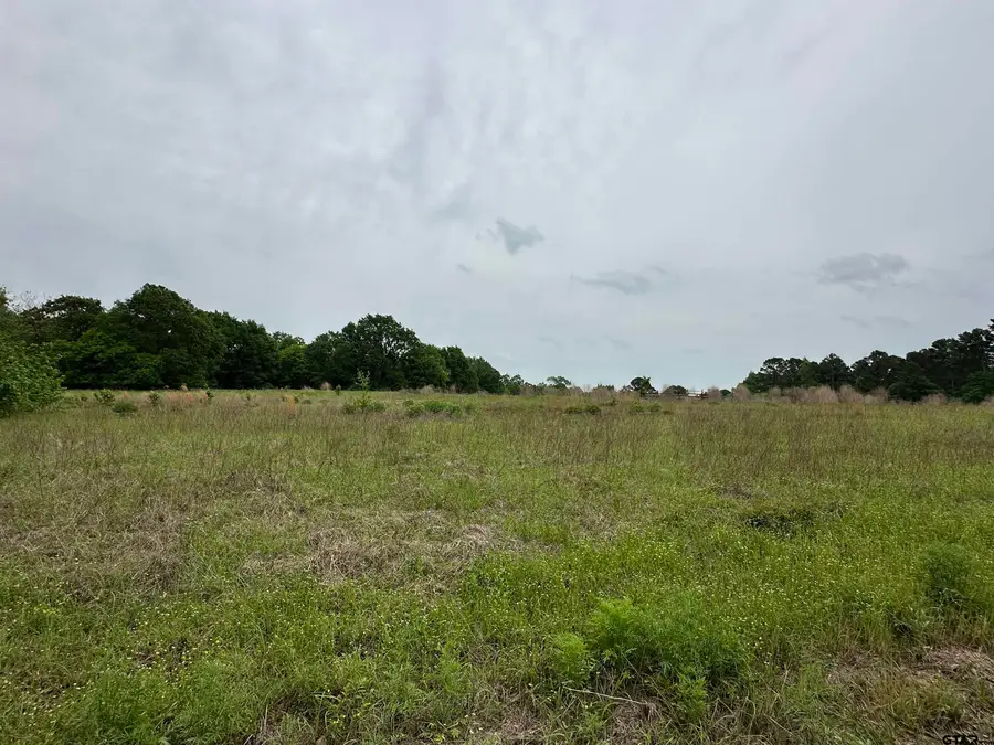 21478 CR 294, Arp, TX 75750 - Image #2