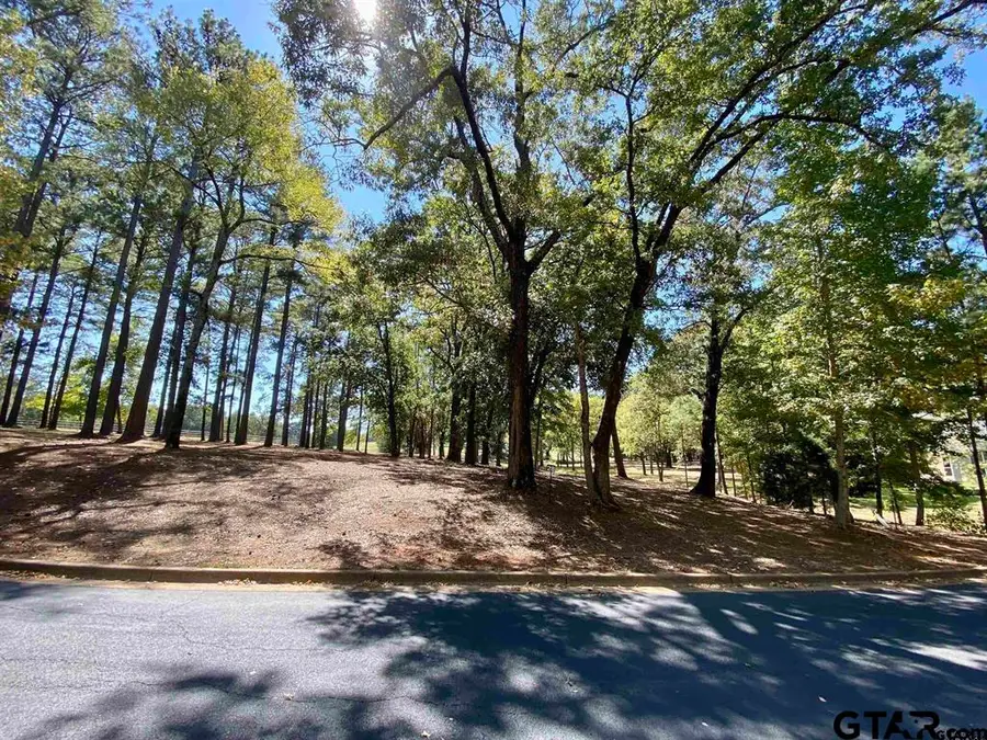 Lot 28 Leisure Ln, Frankston, TX 75763 - #3