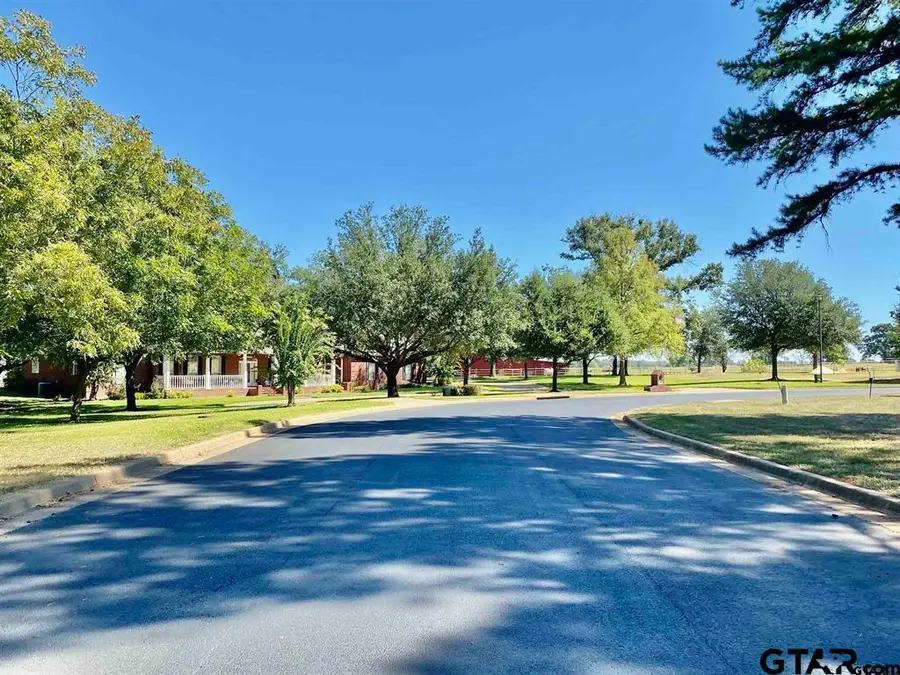 Lot 27 Leisure Ln, Frankston, TX 75763 - Image #3