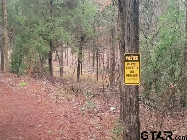 6903 US Hwy 175, Jacksonville, TX 75766 - Image #3