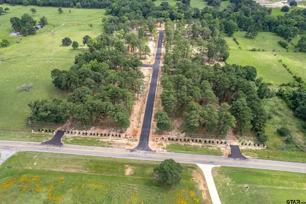 12141 Stephanie ln, Flint, TX 75762