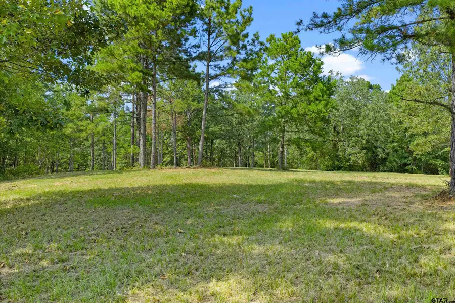 TBD Frances Ln, Diana, TX 75640 - Image #2