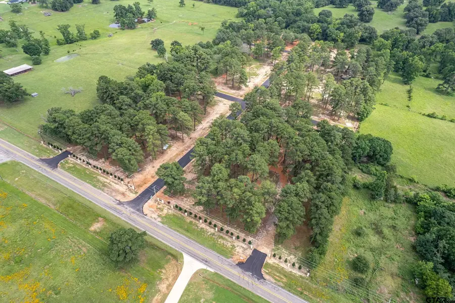 12101 Pinecrest Dr, Flint, TX 75762 - Image #3