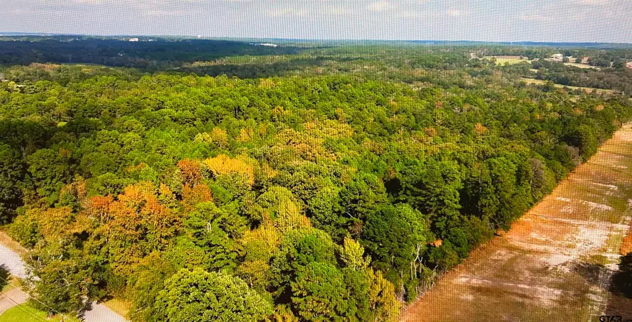 TBD Bedingfield Rd, Flint, TX 75762 - Image #3