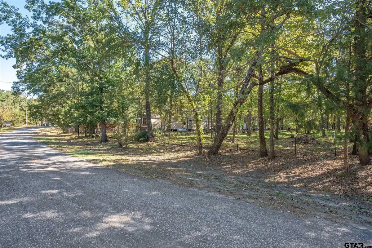 Lot 87 Willow Drive, Wills Point, TX 75169 - Image #1