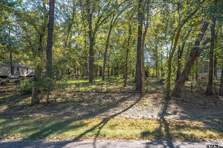 Lot 87 Willow Drive, Wills Point, TX 75169 - Image #2