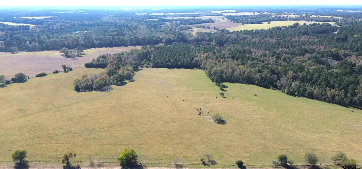 485 PR 6142, Grapeland, TX 75844 - Image #1