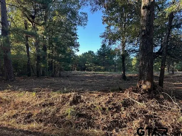 TBD CR 1552, Long Branch, TX 75669