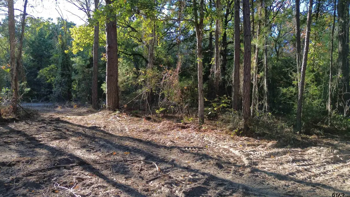 000 CR 4330, Larue, TX 75770 - Image #1