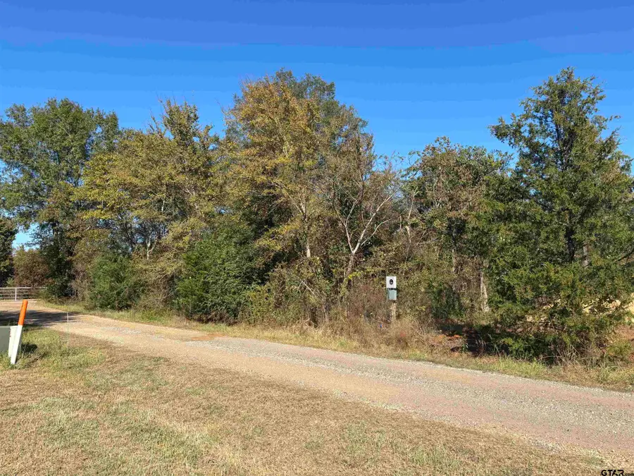 Lot 166 Kitty Hawk Dr., Frankston, TX 75763 - Image #2
