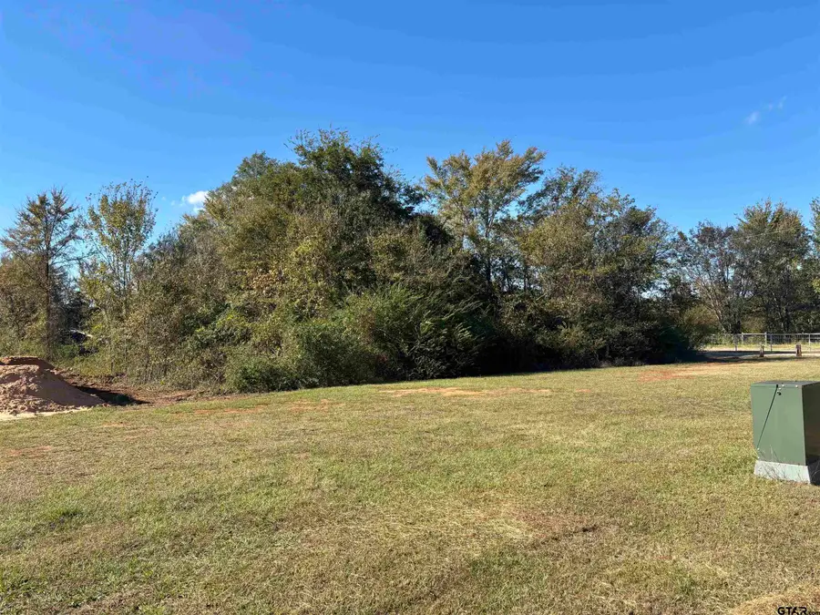 Lot 166 Kitty Hawk Dr., Frankston, TX 75763 - Image #3