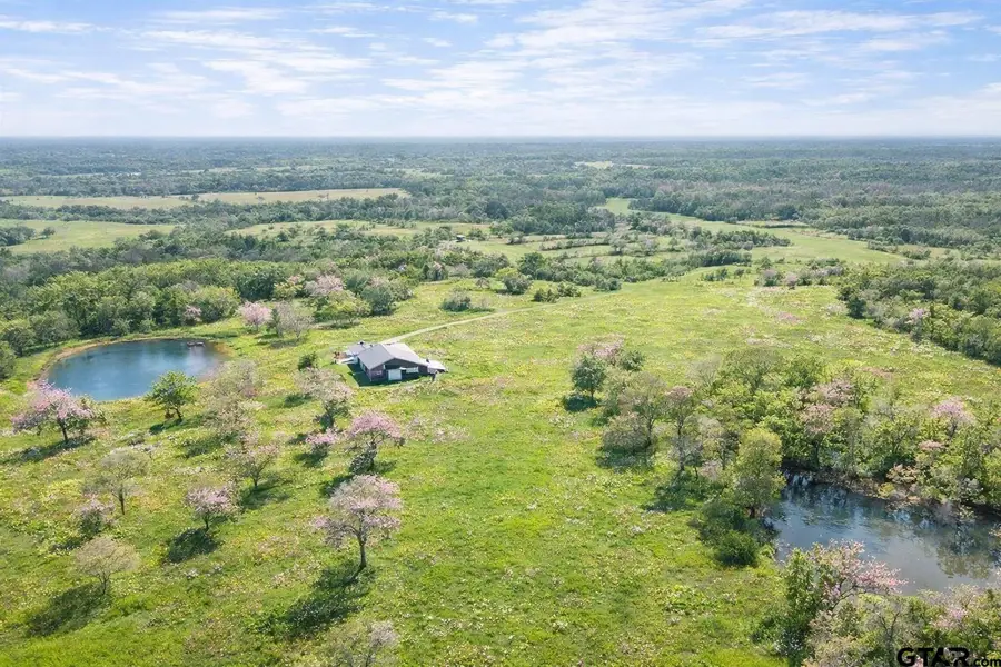 1132 CR 4470, Winnsboro, TX 75494 - Image #3