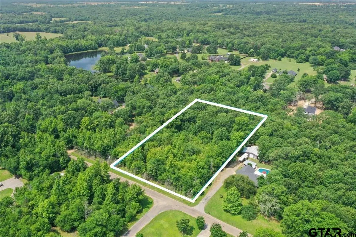 TBD CR 4425, Mount Pleasant, TX 75455 - Image #1