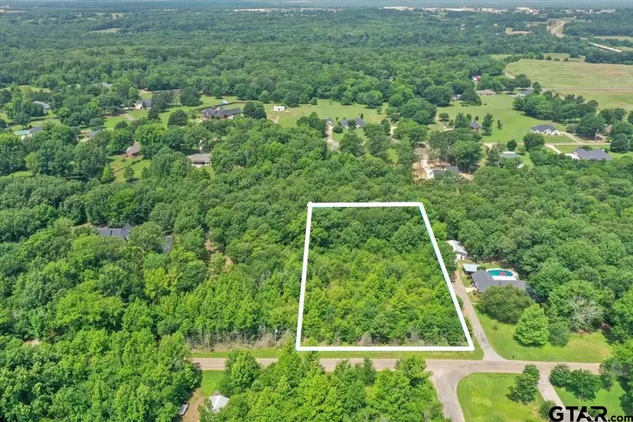 TBD CR 4425, Mount Pleasant, TX 75455 - Image #2