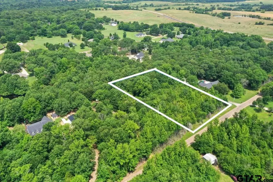 TBD CR 4425, Mount Pleasant, TX 75455 - Image #3