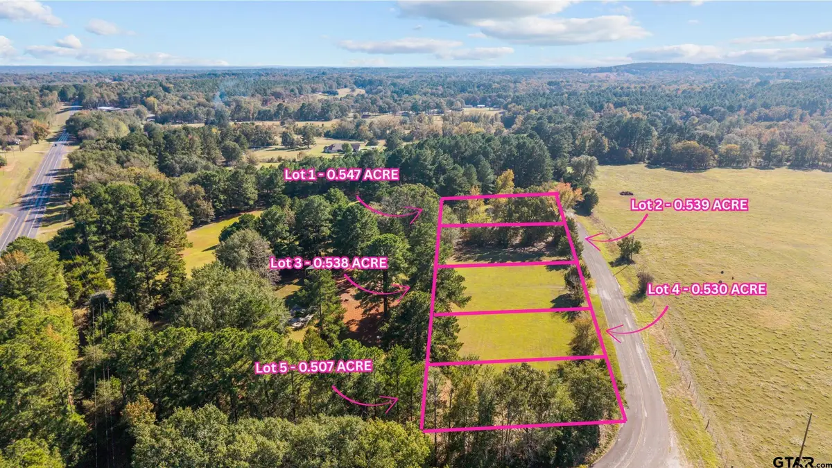 TBD County Road 2174 Lot 2, Whitehouse, TX 75791 - #1