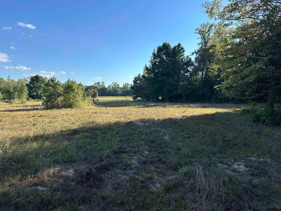 TBD CR 3701, Murchison, TX 75778 - Image #3