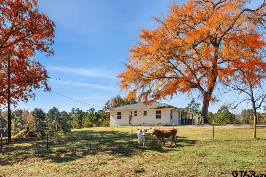 7793 US-80, Hawkins, TX 75765 - Image #2