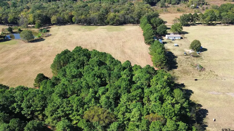 TBD Lot 1 County Road 3265, Mount Pleasant, TX 75455 - Image #2