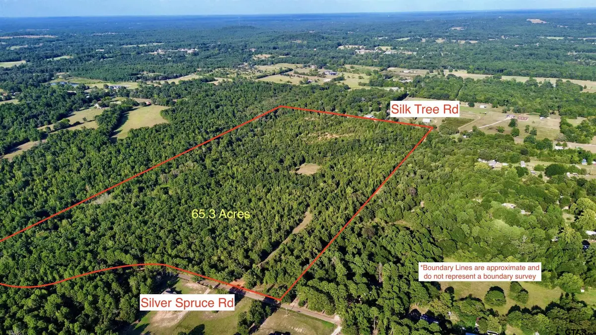 TBD Silver Spruce Rd, Gilmer, TX 75645 - Image #1