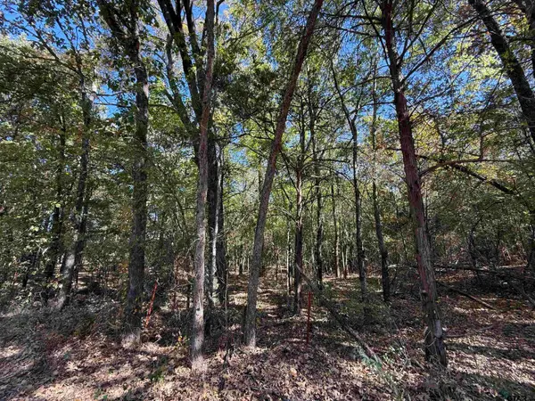 000 C R 1412, Van, TX 75790