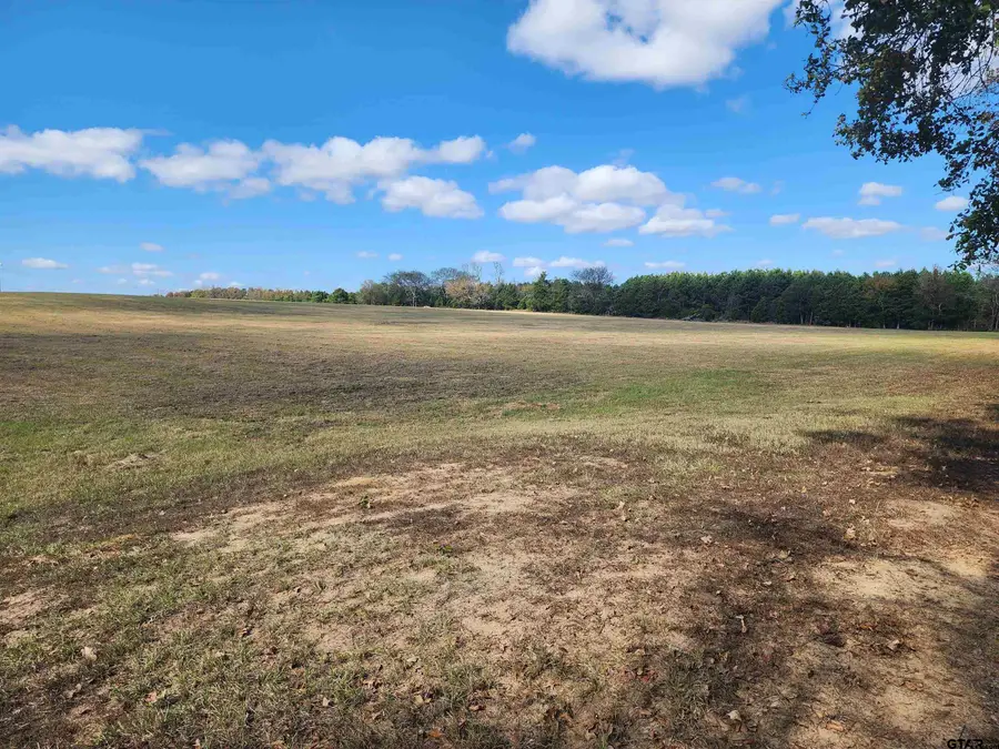 TBD CR 4230, Mount Pleasant, TX 75455 - Image #2