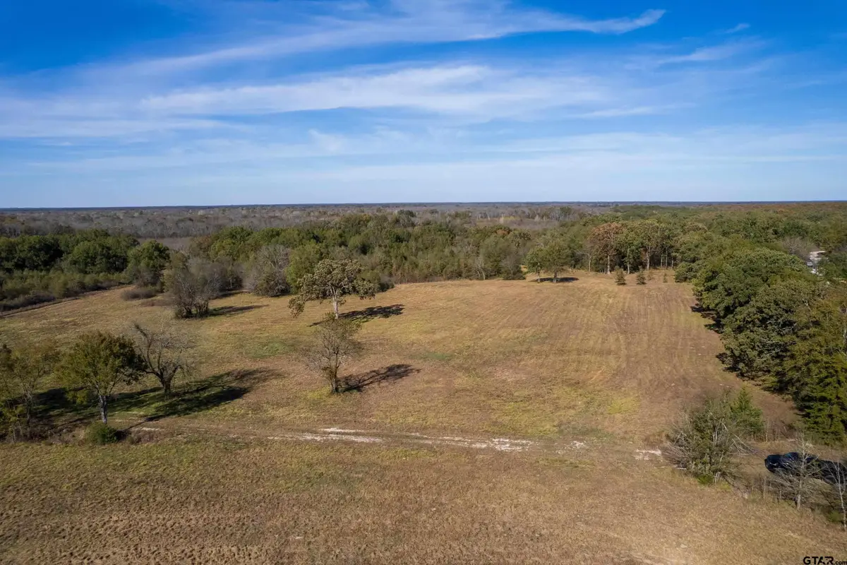 TBD FM 71, Talco, TX 75487 - Image #1