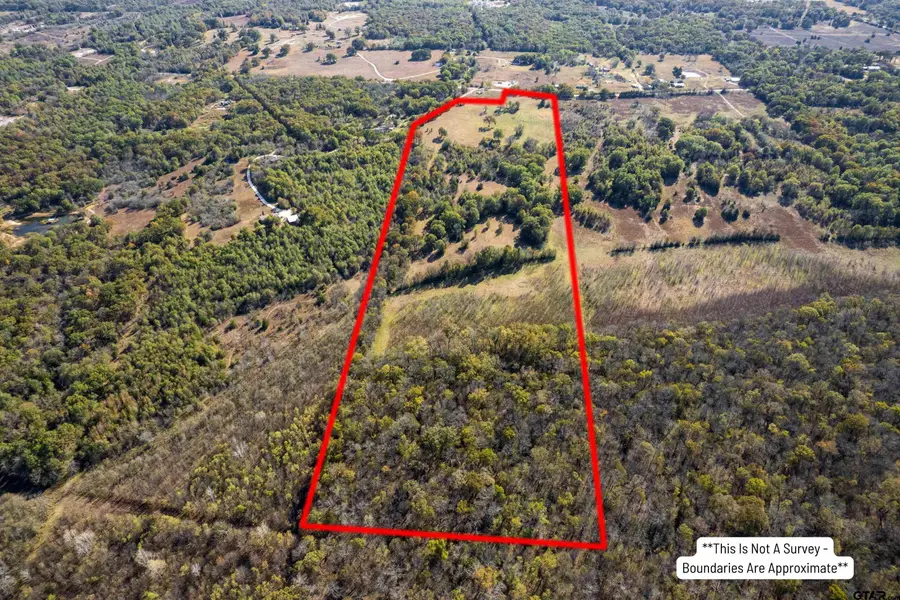 TBD FM 71, Talco, TX 75487 - Image #2