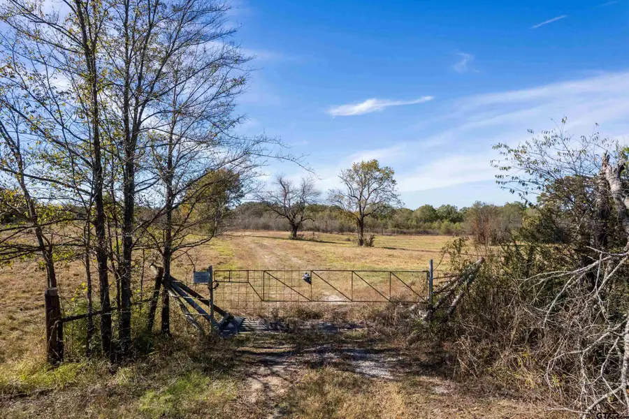 TBD FM 71, Talco, TX 75487 - Image #3