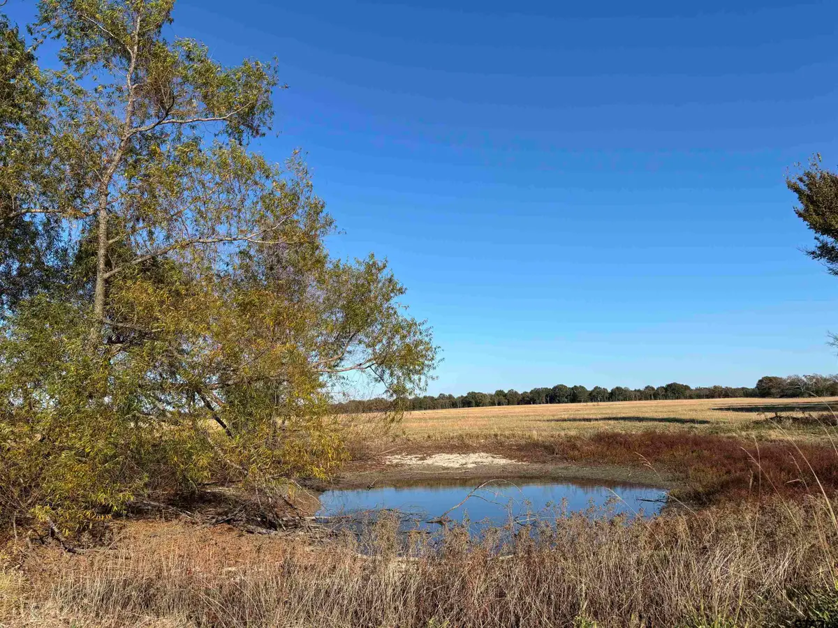 000 FM 1653, Ben Wheeler, TX 75754 - Image #1