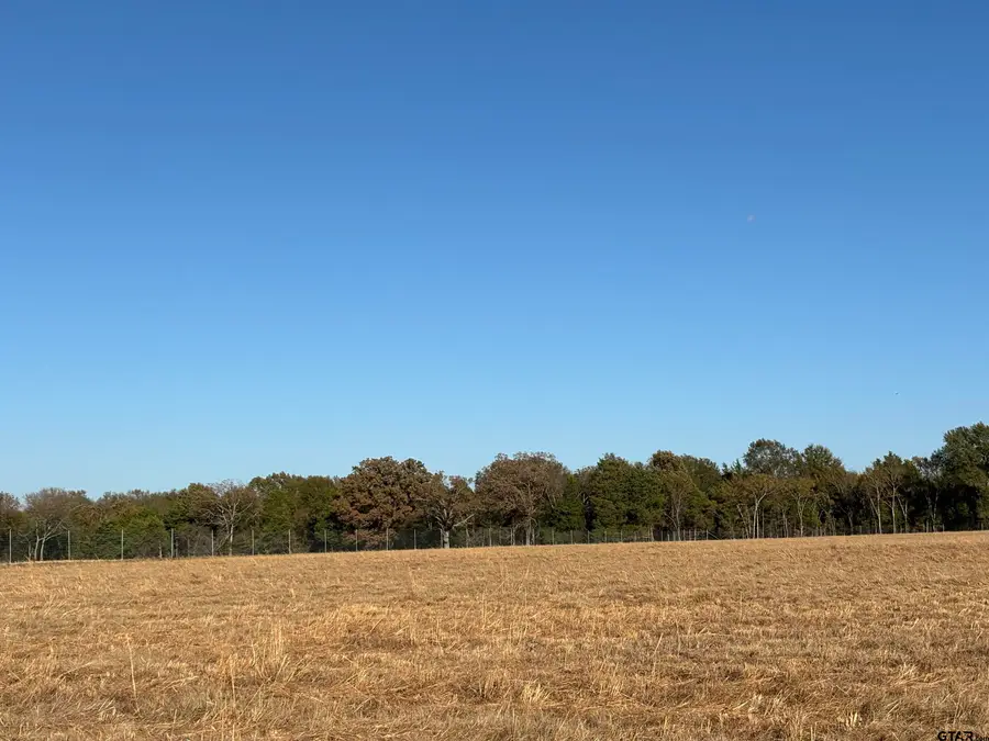 000 FM 1653, Ben Wheeler, TX 75754 - Image #3