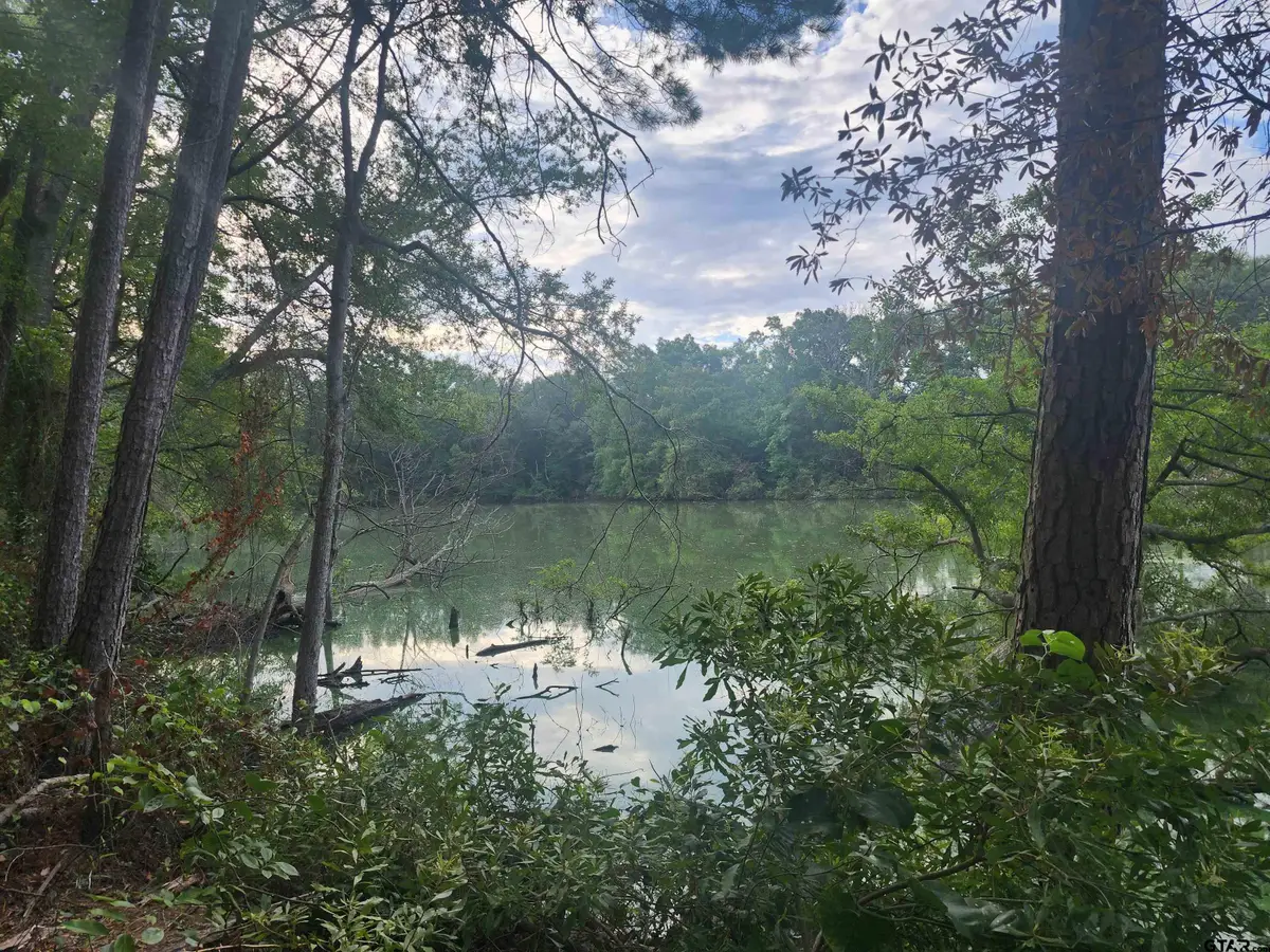 371 CR 4152, Pittsburg, TX 75686 - Image #1