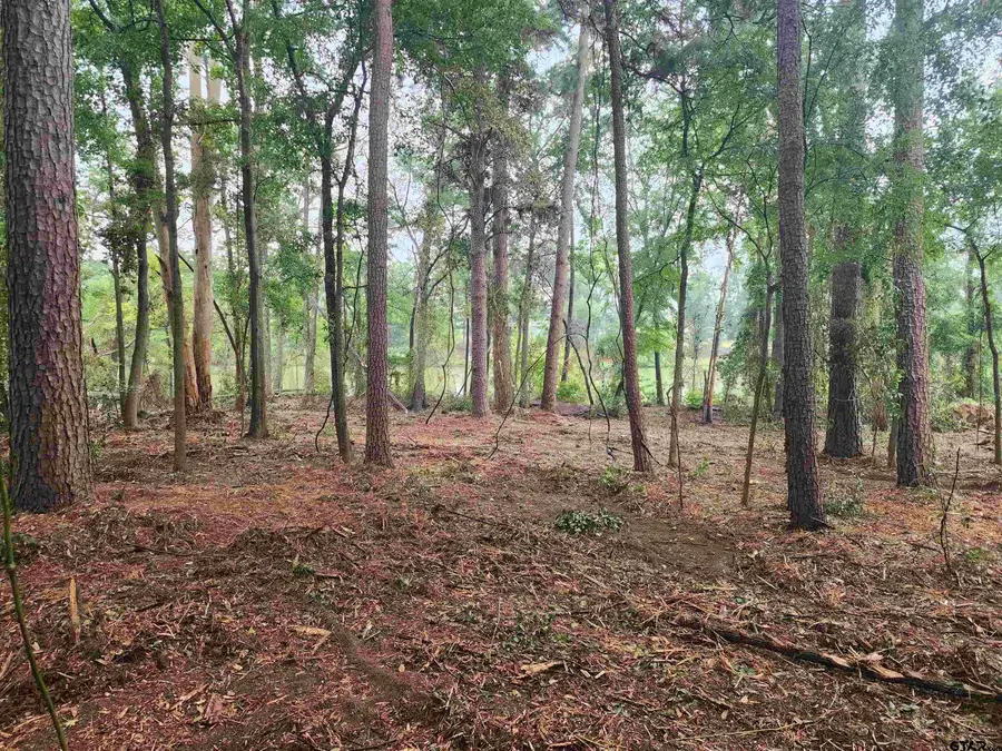 371 CR 4152, Pittsburg, TX 75686 - Image #2