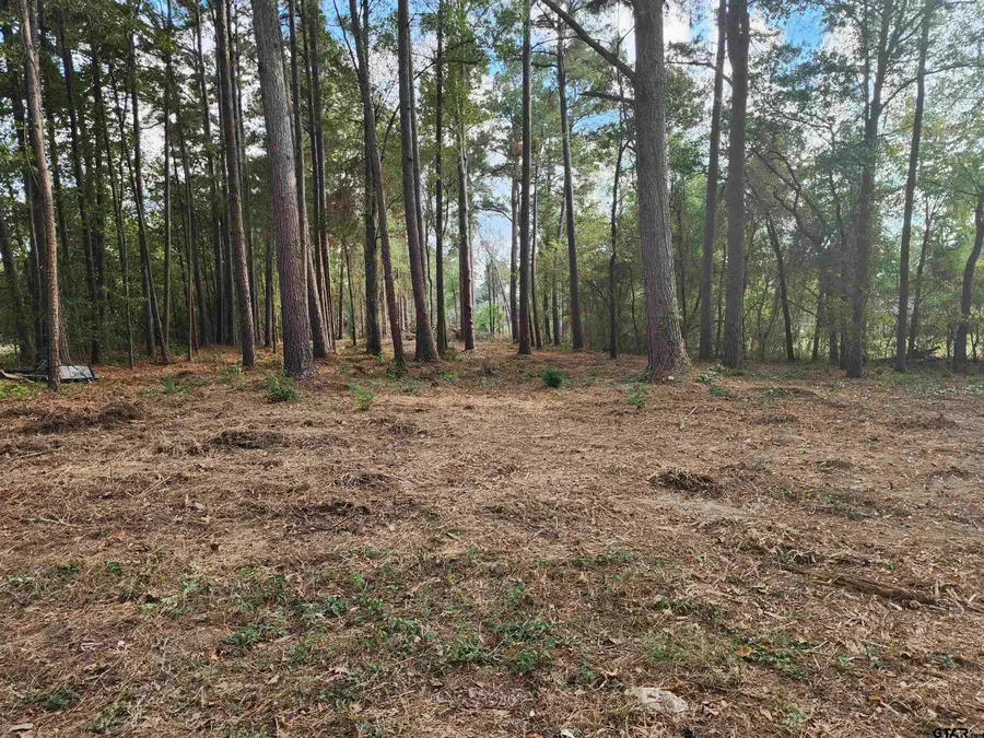 371 CR 4152, Pittsburg, TX 75686 - Image #3