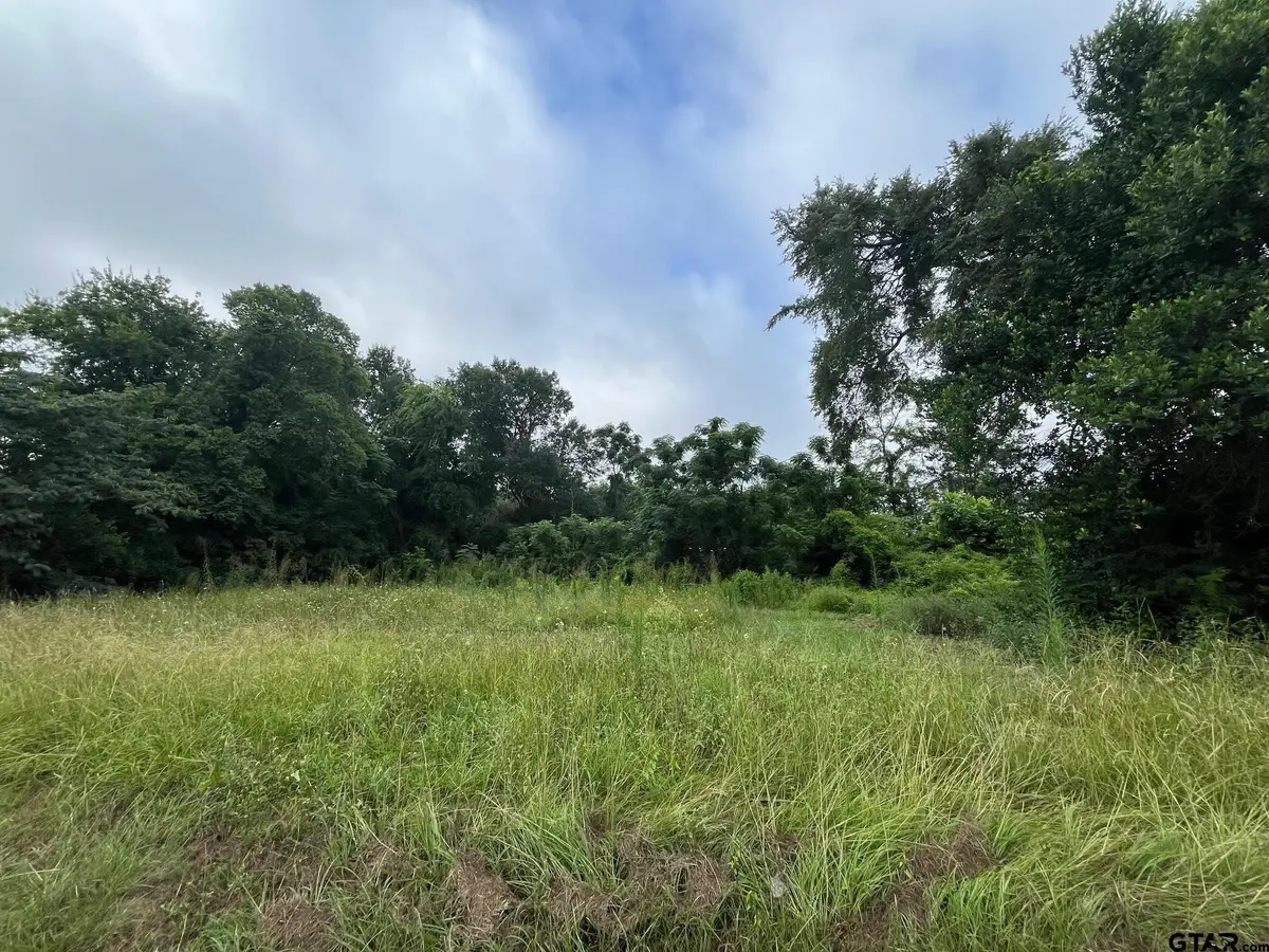 Lot 3 W Dobbs, Tyler, TX 75701 - Image #1