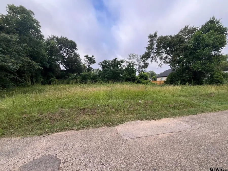 Lot 3 W Dobbs, Tyler, TX 75701 - Image #3