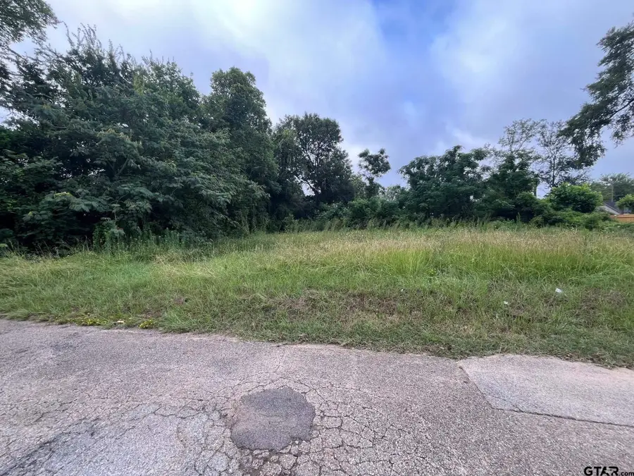 Lot 4 W Dobbs, Tyler, TX 75701 - Image #2