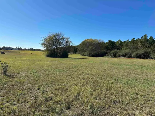 12B  / TBD Old Spanish Trial Drive, Alto, TX 75925