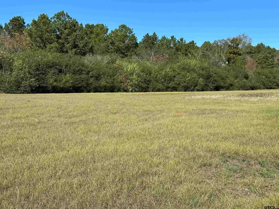 14B  / TBD Old Spanish Trial Drive, Alto, TX 75925 - Image #3