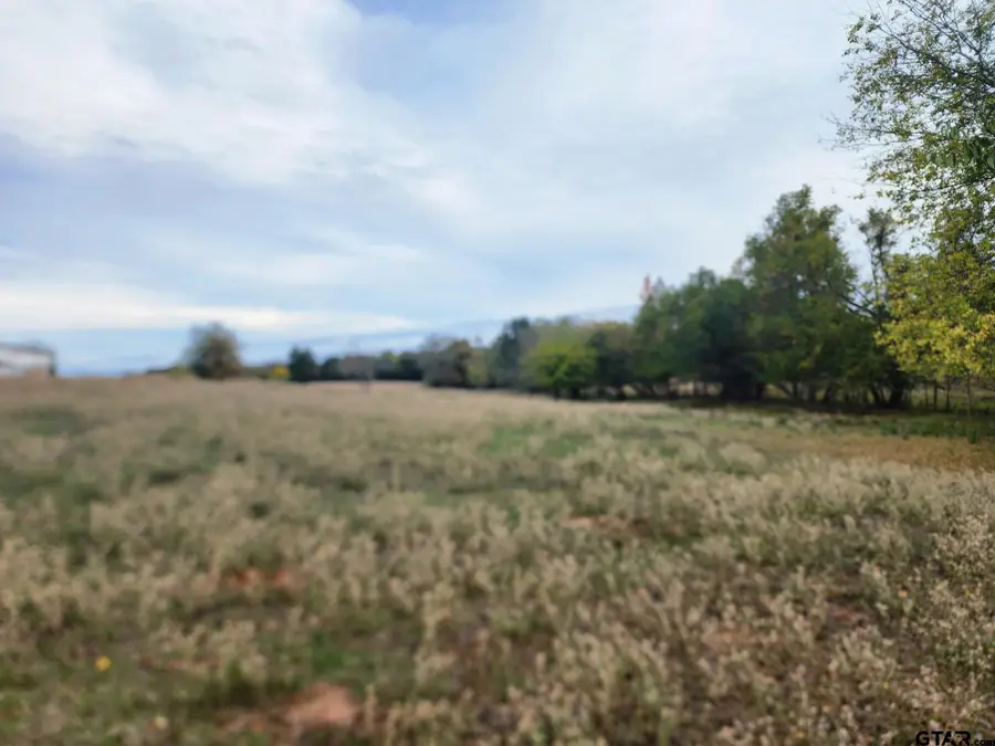 000 County Road 4919, Quitman, TX 75783 - Image #2