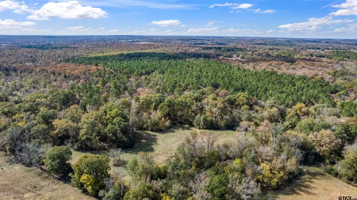 TBD CR 3170, Winnsboro, TX 75494 - Image #1