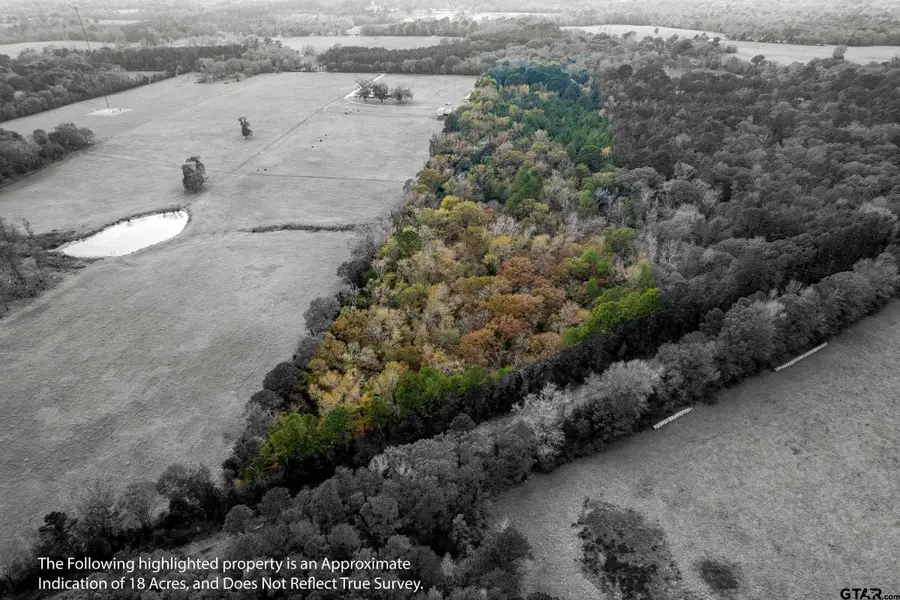 590 An County Road 169, Elkhart, TX 75839 - #2