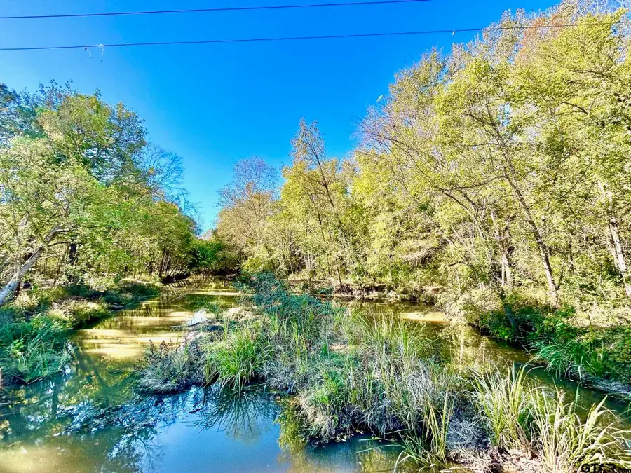 5395 Grand View Dr, Athens, TX 75752 - Image #2