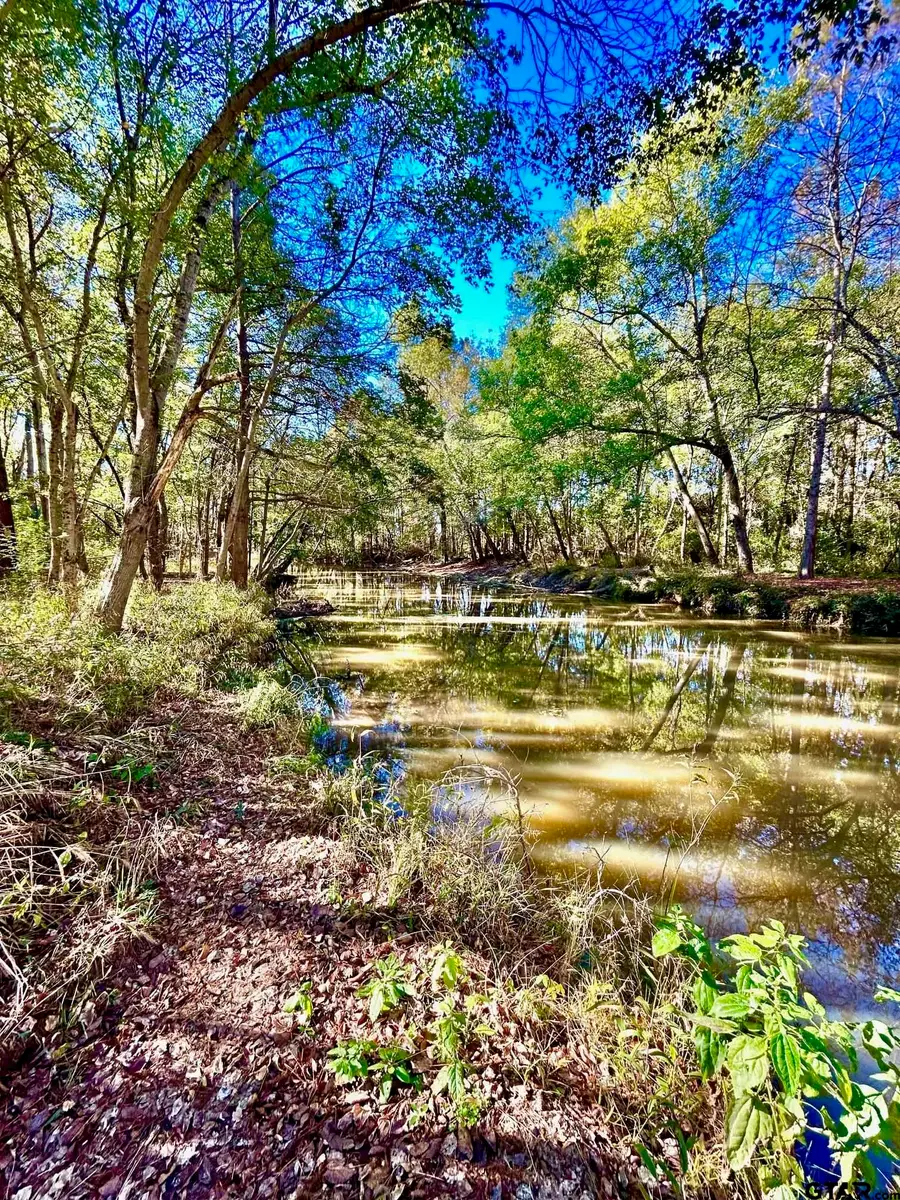 5395 Grand View Dr, Athens, TX 75752 - Image #3