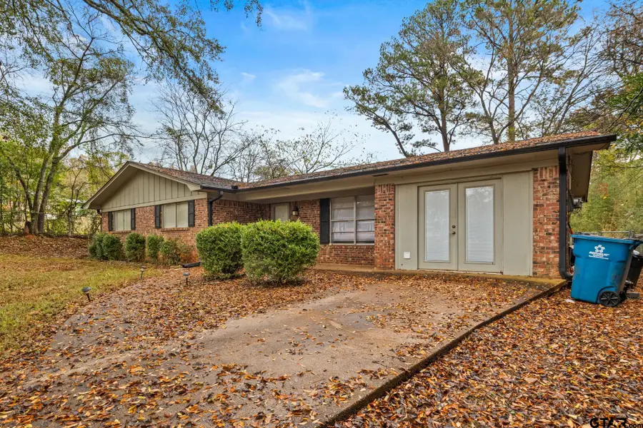 222 Mountain View Dr., Daingerfield, TX 75638 - Image #3