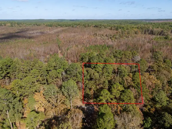 TBD Rolling Ridge, Holly Lake Ranch,  75765