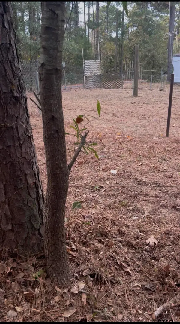 16936 Tanglewood Dr, Flint, TX 75762