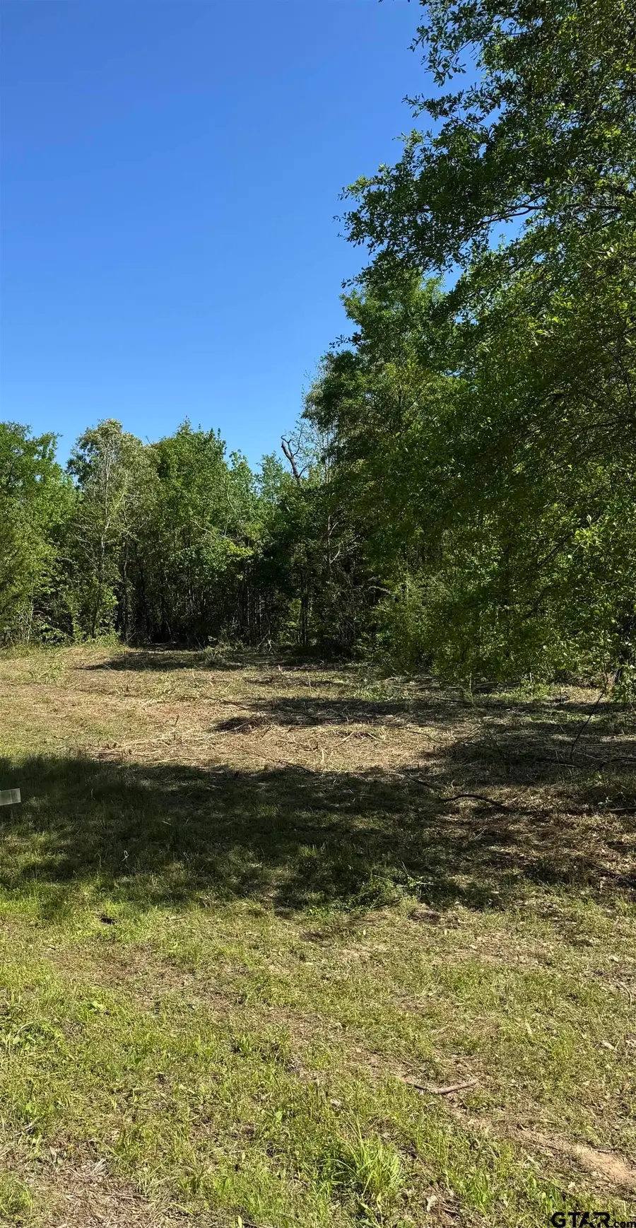 24337 FM 838, Overton, TX 75684 - Image #2